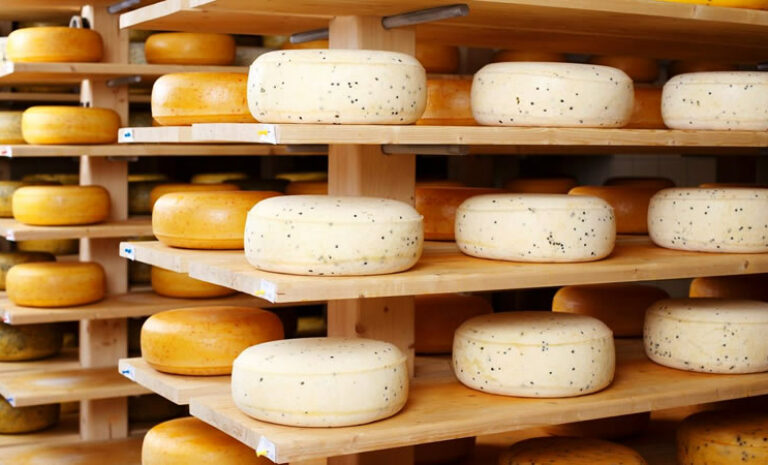 Exportación de quesos chilenos se incremento en un 37% este 2019