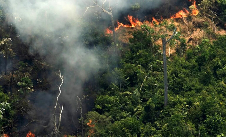 Brasil aceptará la ayuda del G7 para combatir los incendios en la Amazonía