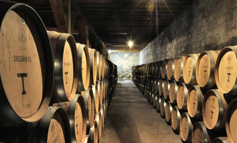La producción total de vinos creció un 29,9% durante el 2021